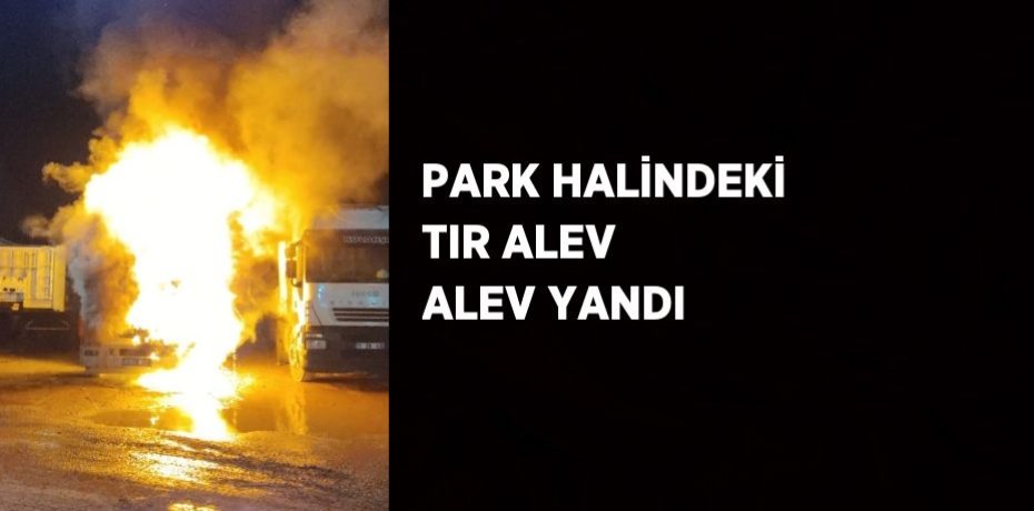 PARK HALİNDEKİ TIR ALEV ALEV YANDI