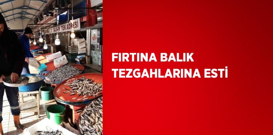 FIRTINA BALIK TEZGAHLARINA ESTİ