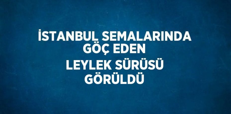 İSTANBUL SEMALARINDA GÖÇ EDEN LEYLEK SÜRÜSÜ GÖRÜLDÜ