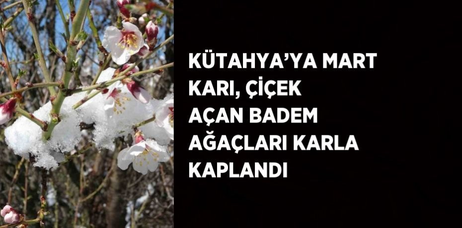 KÜTAHYA’YA MART KARI, ÇİÇEK AÇAN BADEM AĞAÇLARI KARLA KAPLANDI