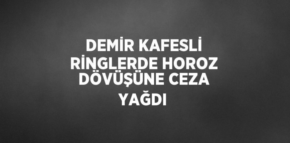 DEMİR KAFESLİ RİNGLERDE HOROZ DÖVÜŞÜNE CEZA YAĞDI