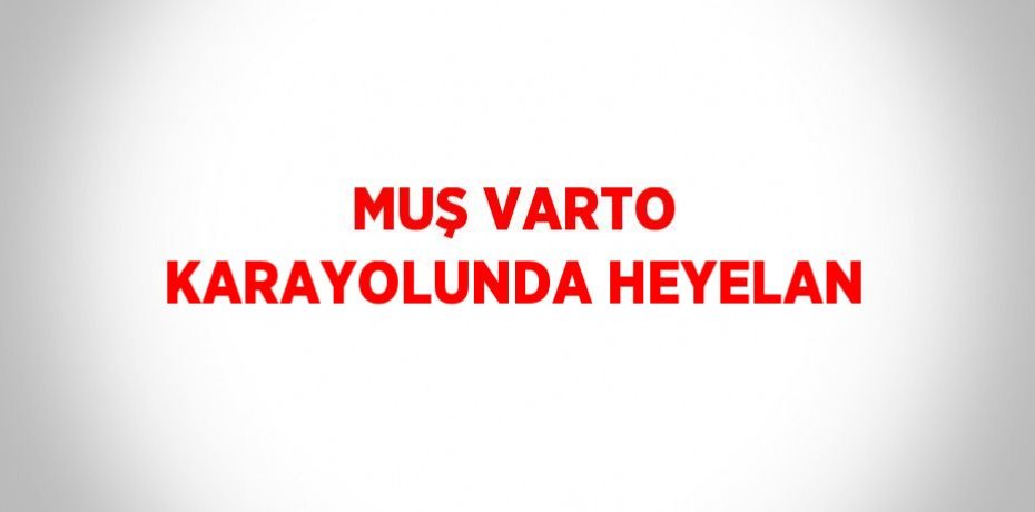 MUŞ VARTO KARAYOLUNDA HEYELAN
