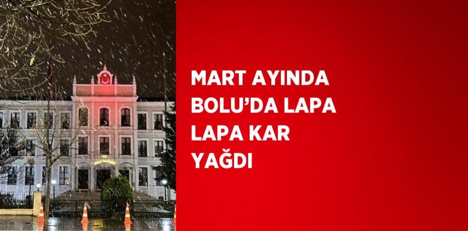 MART AYINDA BOLU’DA LAPA LAPA KAR YAĞDI