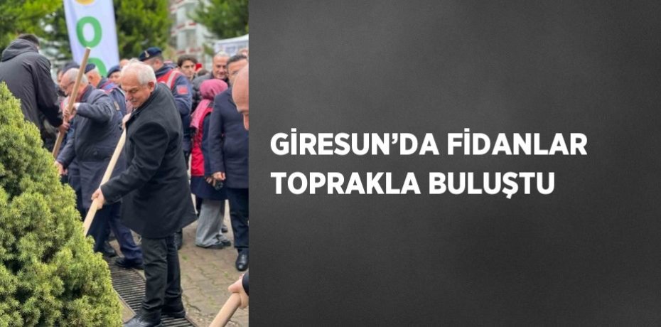 GİRESUN’DA FİDANLAR TOPRAKLA BULUŞTU