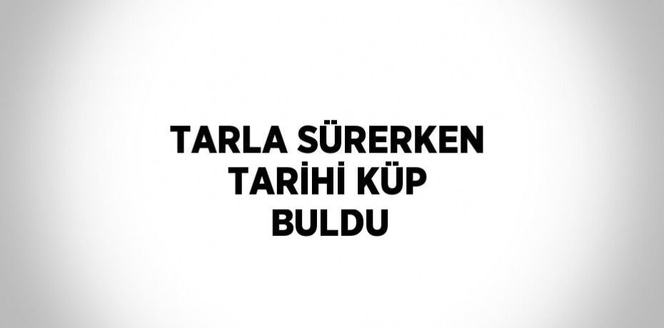 TARLA SÜRERKEN TARİHİ KÜP BULDU