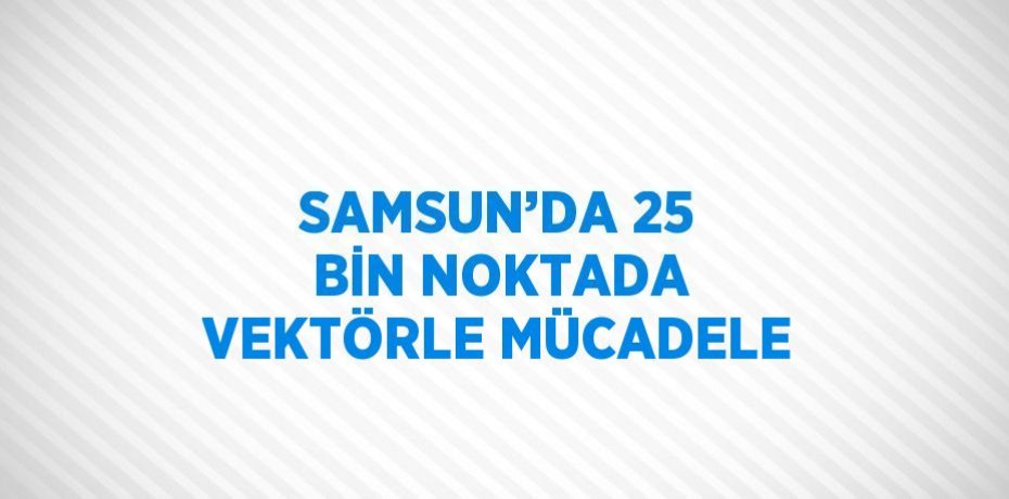 SAMSUN’DA 25 BİN NOKTADA VEKTÖRLE MÜCADELE