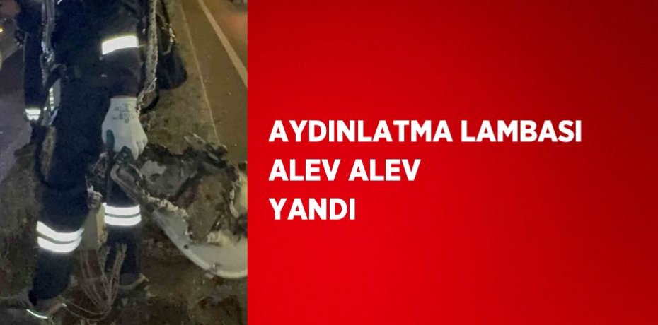 AYDINLATMA LAMBASI ALEV ALEV YANDI