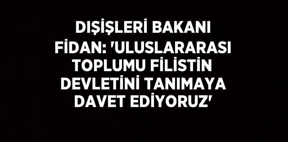 DIŞİŞLERİ BAKANI FİDAN: 'ULUSLARARASI TOPLUMU FİLİSTİN DEVLETİNİ TANIMAYA DAVET EDİYORUZ'