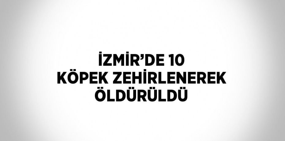 İZMİR’DE 10 KÖPEK ZEHİRLENEREK ÖLDÜRÜLDÜ