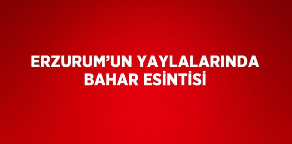 ERZURUM’UN YAYLALARINDA BAHAR ESİNTİSİ
