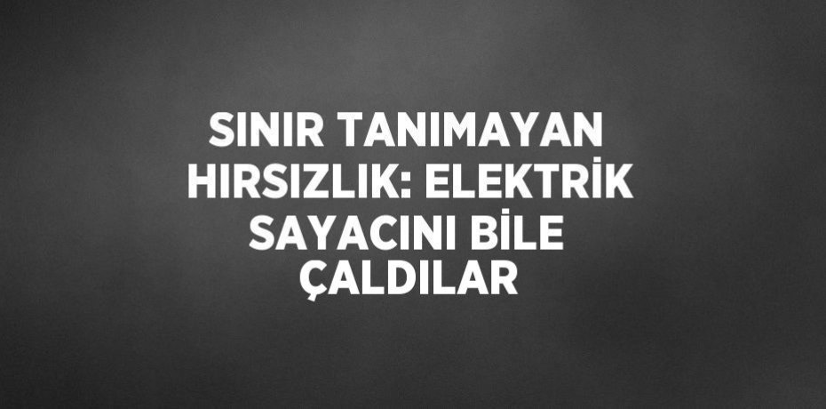 SINIR TANIMAYAN HIRSIZLIK: ELEKTRİK SAYACINI BİLE ÇALDILAR