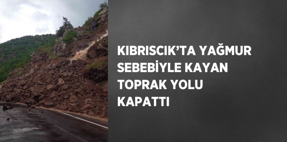KIBRISCIK’TA YAĞMUR SEBEBİYLE KAYAN TOPRAK YOLU KAPATTI