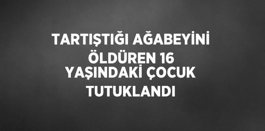 TARTIŞTIĞI AĞABEYİNİ ÖLDÜREN 16 YAŞINDAKİ ÇOCUK TUTUKLANDI