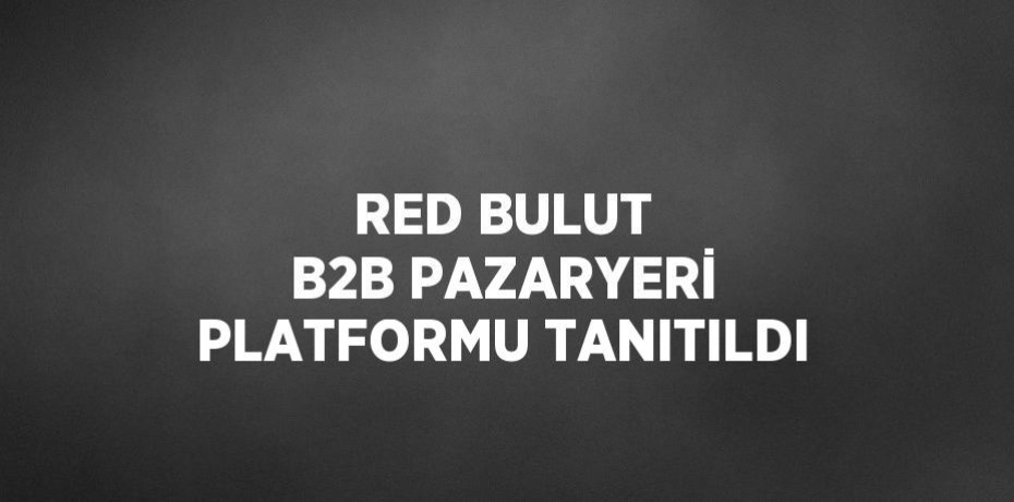 RED BULUT B2B PAZARYERİ PLATFORMU TANITILDI