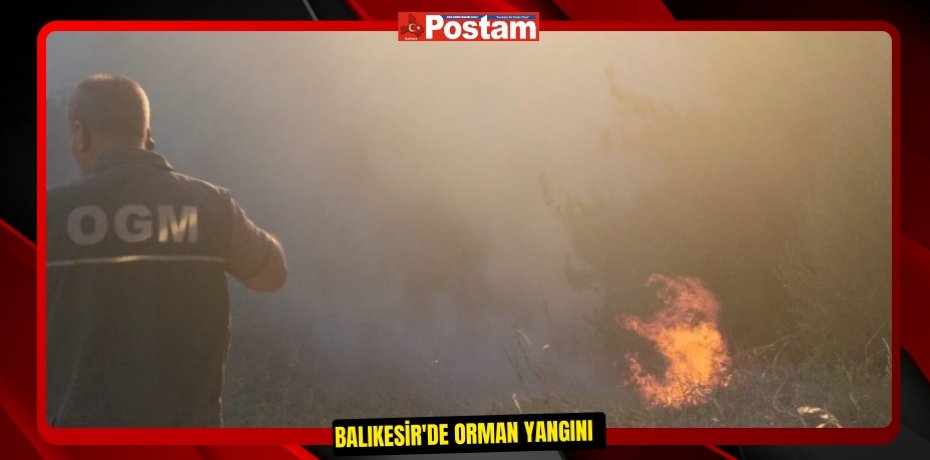 Balıkesir'de orman yangını