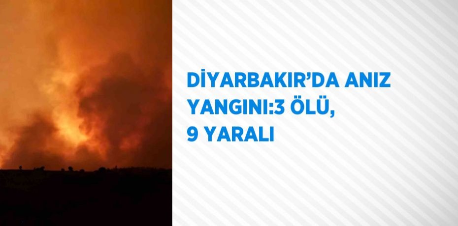 DİYARBAKIR’DA ANIZ YANGINI:3 ÖLÜ, 9 YARALI