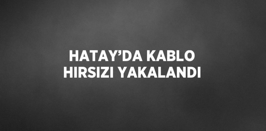 HATAY’DA KABLO HIRSIZI YAKALANDI