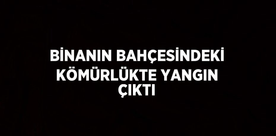 BİNANIN BAHÇESİNDEKİ KÖMÜRLÜKTE YANGIN ÇIKTI