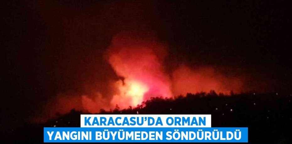 KARACASU’DA ORMAN YANGINI BÜYÜMEDEN SÖNDÜRÜLDÜ