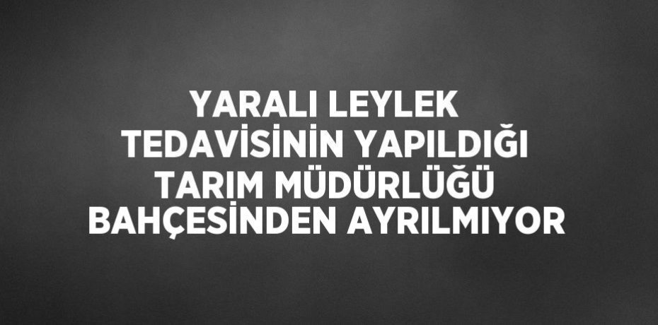 YARALI LEYLEK TEDAVİSİNİN YAPILDIĞI TARIM MÜDÜRLÜĞÜ BAHÇESİNDEN AYRILMIYOR