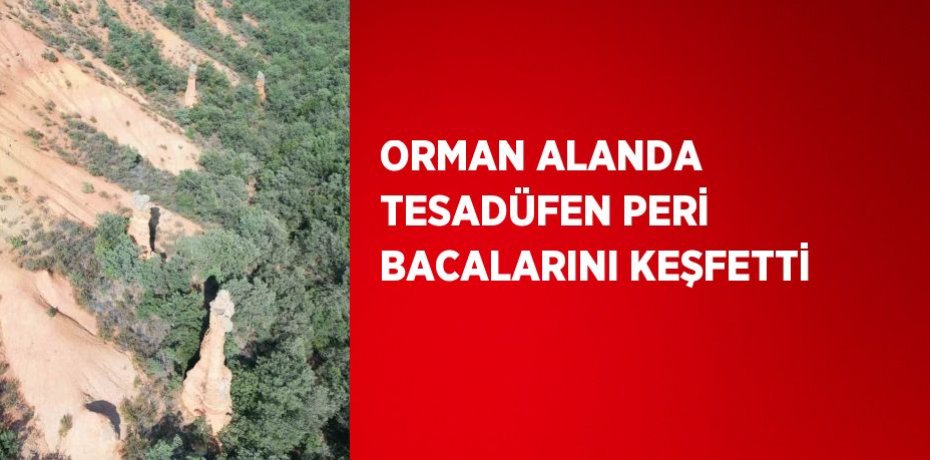 ORMAN ALANDA TESADÜFEN PERİ BACALARINI KEŞFETTİ