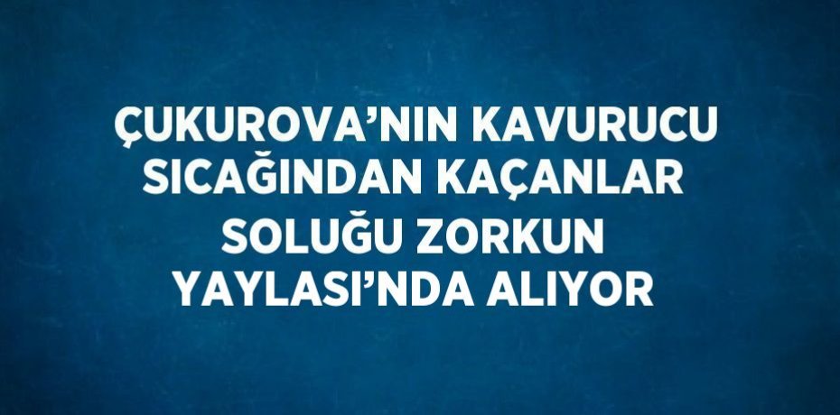 ÇUKUROVA’NIN KAVURUCU SICAĞINDAN KAÇANLAR SOLUĞU ZORKUN YAYLASI’NDA ALIYOR
