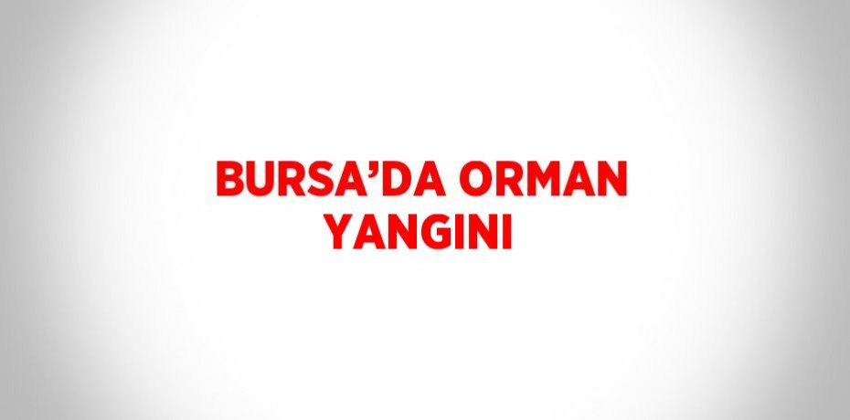 BURSA’DA ORMAN YANGINI