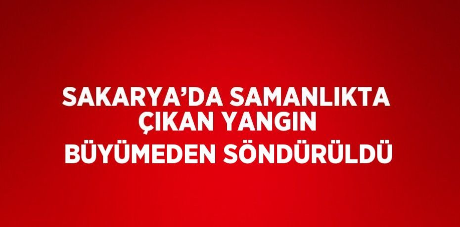 SAKARYA’DA SAMANLIKTA ÇIKAN YANGIN BÜYÜMEDEN SÖNDÜRÜLDÜ