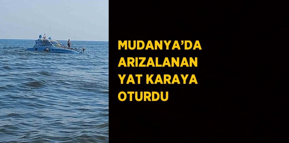 MUDANYA’DA ARIZALANAN YAT KARAYA OTURDU