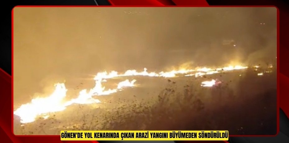 Gönen'de yol kenarında çıkan arazi yangını büyümeden söndürüldü  