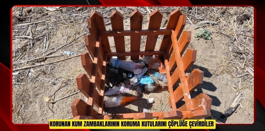 Korunan kum zambaklarının koruma kutularını çöplüğe çevirdiler  