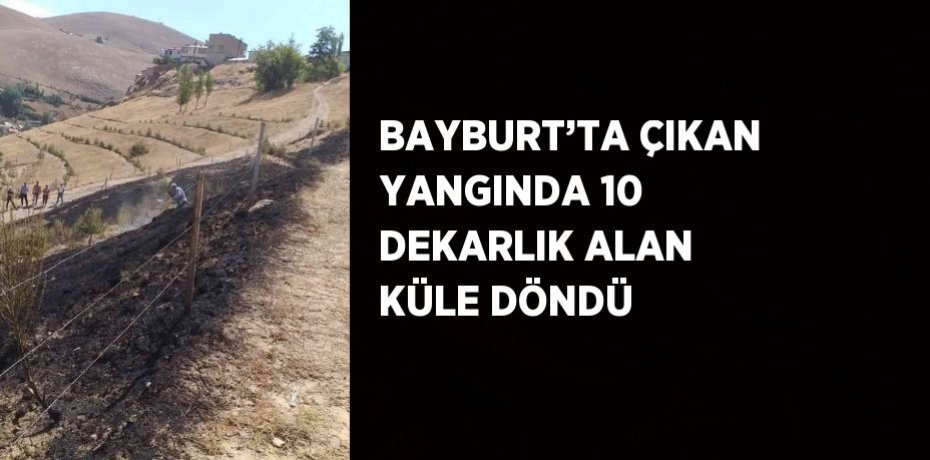 BAYBURT’TA ÇIKAN YANGINDA 10 DEKARLIK ALAN KÜLE DÖNDÜ