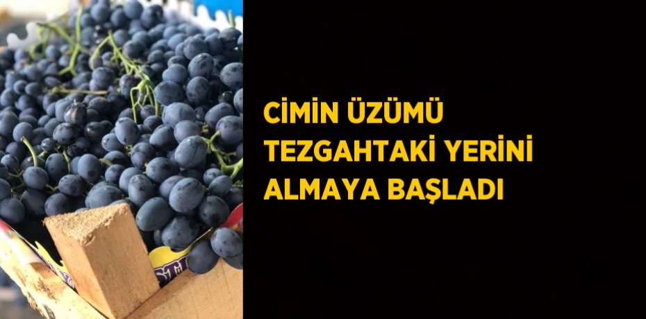CİMİN ÜZÜMÜ TEZGAHTAKİ YERİNİ ALMAYA BAŞLADI
