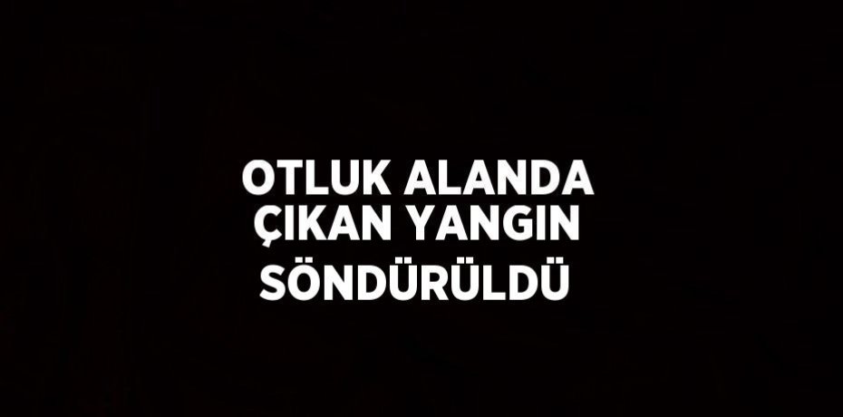 OTLUK ALANDA ÇIKAN YANGIN SÖNDÜRÜLDÜ