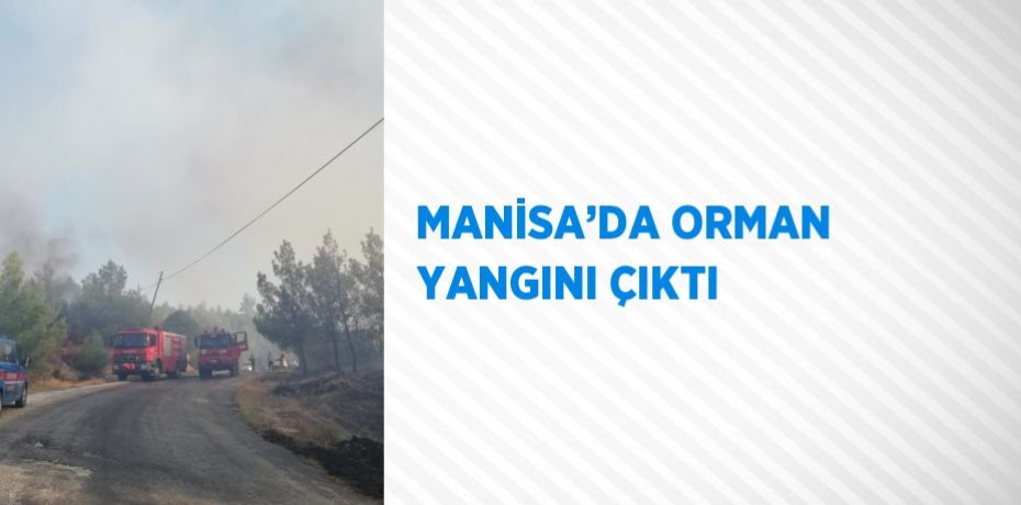 MANİSA’DA ORMAN YANGINI ÇIKTI