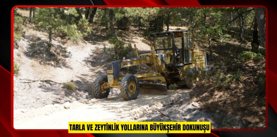 TARLA VE ZEYTİNLİK YOLLARINA BÜYÜKŞEHİR DOKUNUŞU