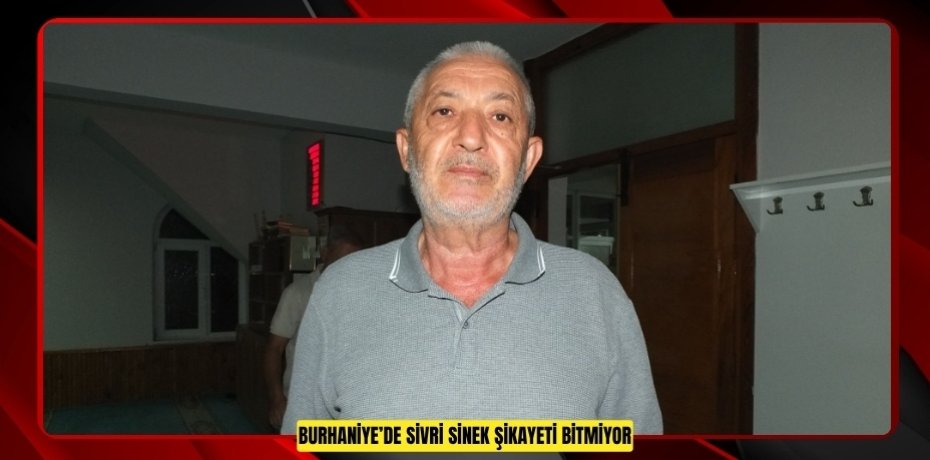 Burhaniye’de sivri sinek şikayeti bitmiyor  