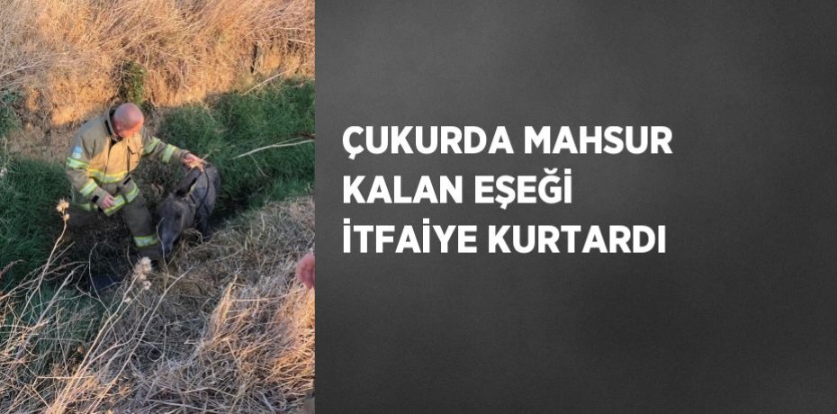 ÇUKURDA MAHSUR KALAN EŞEĞİ İTFAİYE KURTARDI