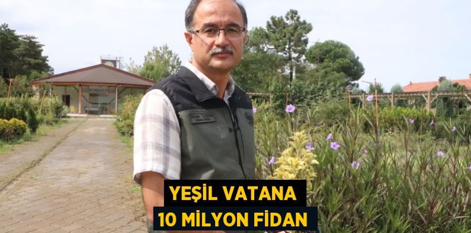 Yeşil vatana 10 milyon fidan
