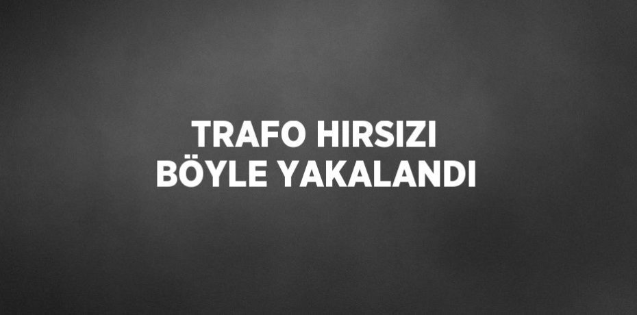 TRAFO HIRSIZI BÖYLE YAKALANDI