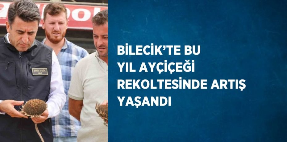 BİLECİK’TE BU YIL AYÇİÇEĞİ REKOLTESİNDE ARTIŞ YAŞANDI
