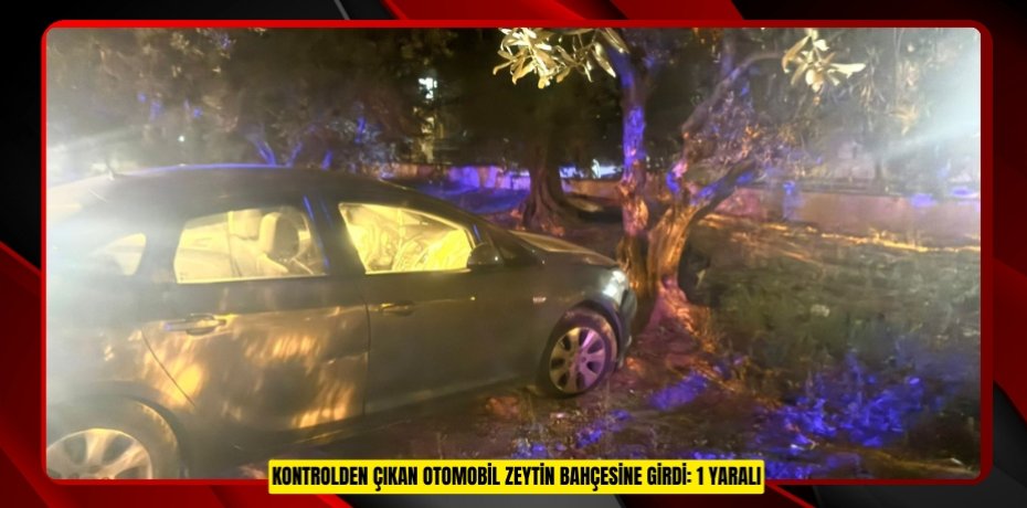 Kontrolden çıkan otomobil zeytin bahçesine girdi: 1 yaralı