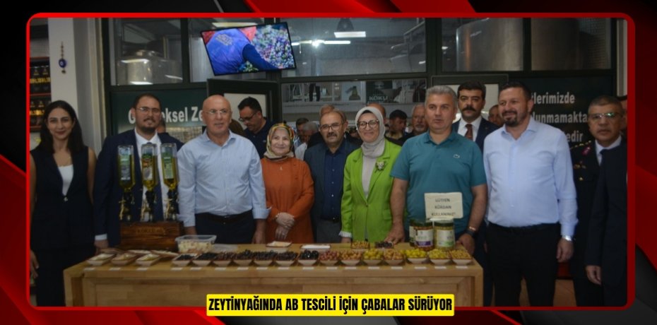 Zeytinyağında AB tescili için çabalar sürüyor