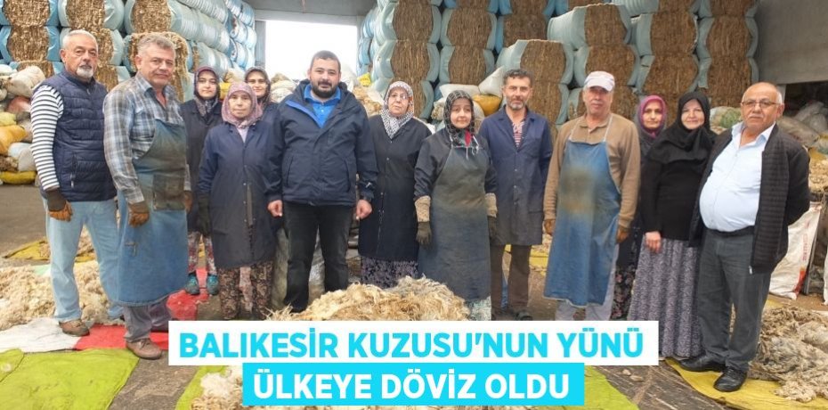 BALIKESİR KUZUSU’NUN YÜNÜ ÜLKEYE DÖVİZ OLDU