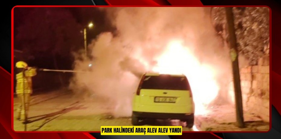 Park halindeki araç alev alev yandı
