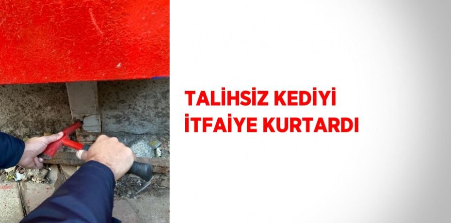 TALİHSİZ KEDİYİ İTFAİYE KURTARDI