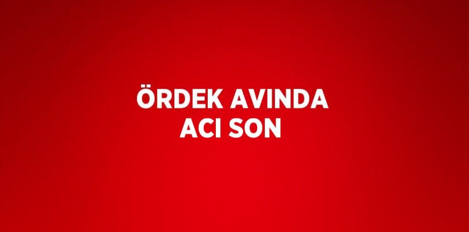 ÖRDEK AVINDA ACI SON