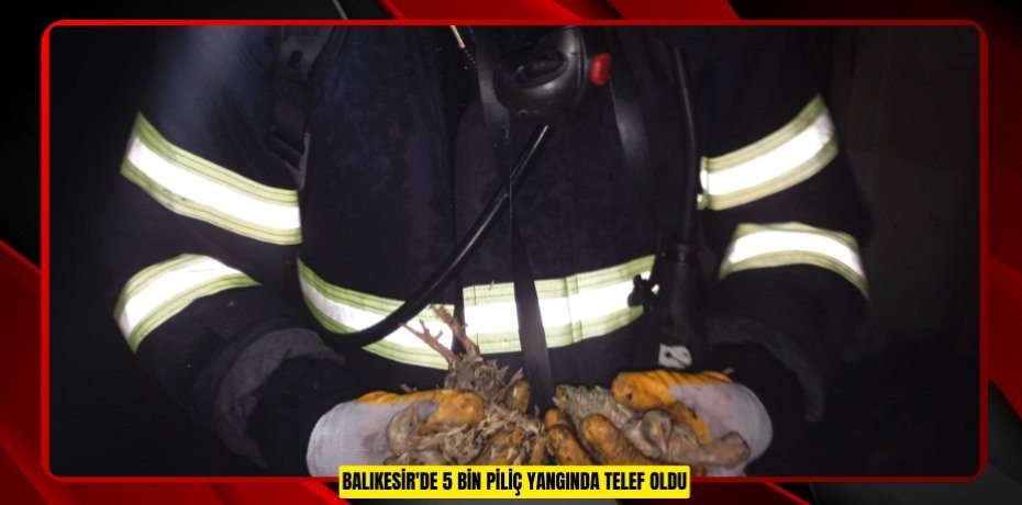 Balıkesir'de 5 bin piliç yangında telef oldu