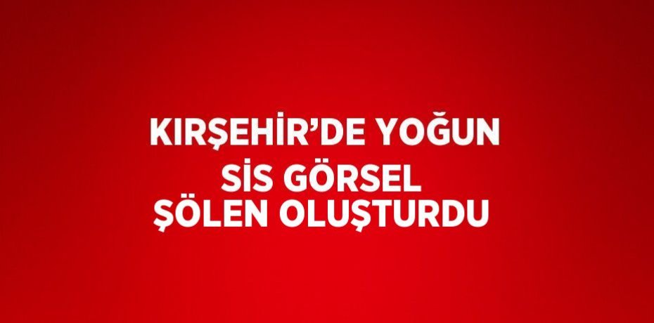 KIRŞEHİR’DE YOĞUN SİS GÖRSEL ŞÖLEN OLUŞTURDU