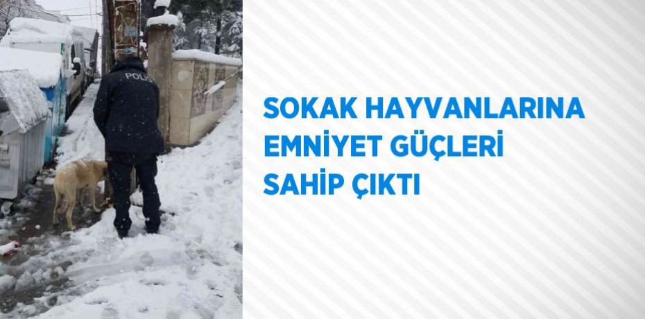 SOKAK HAYVANLARINA EMNİYET GÜÇLERİ SAHİP ÇIKTI